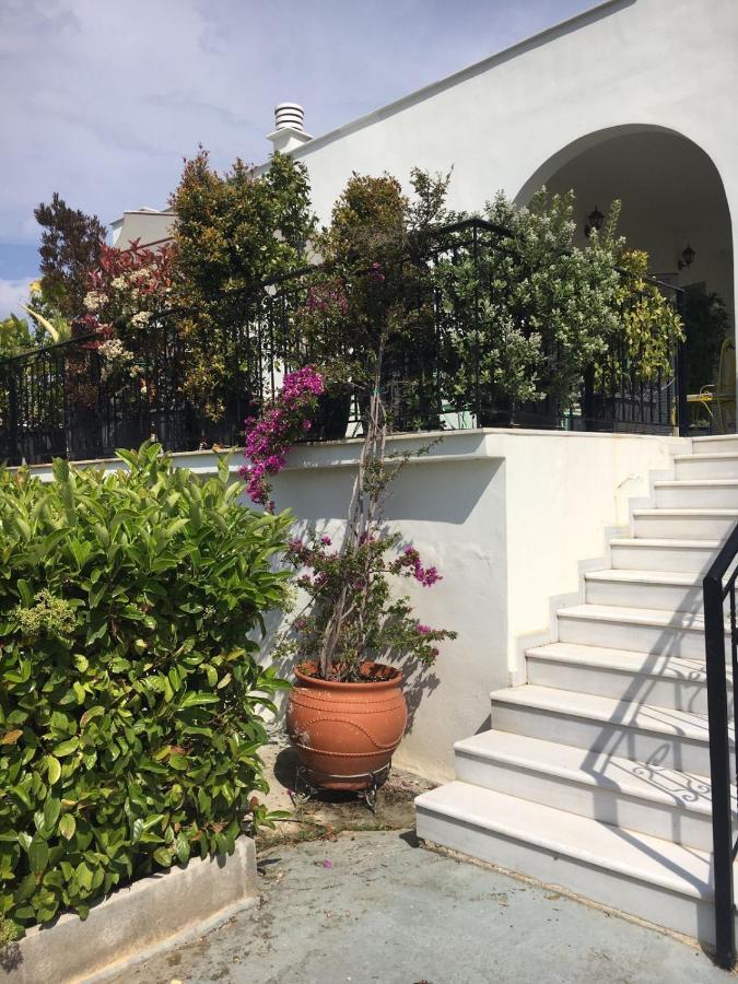 Sunny Sea House Villa Rafína Eksteriør bilde
